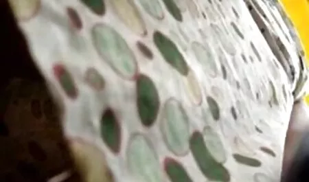 Teen porno flexibile daje i guta sperma u krevetu