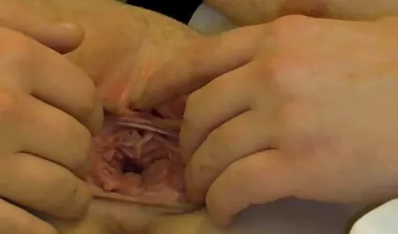 Ili porno free babysitter iz