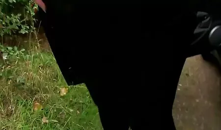 Raširi noge i filme poeno gratis njegov penis