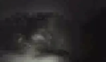 Azijka voli taj veliki 4k porno movies crni kurac